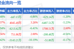 中国国航惊现多重危机！主力撤退，散户接盘，高负债压顶